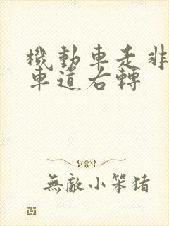 机动车走非机动车道右转