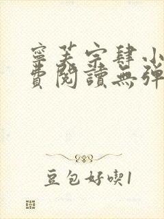 宁芙宗肆小说免费阅读无弹窗