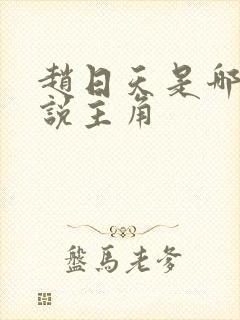 赵日天是哪本小说主角 赵日天是哪本小说主角