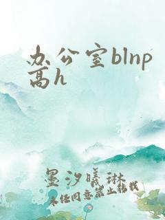 办公室blnp高h