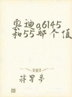 奥迪a6l45和55哪个值得买 奥迪a6l45和55哪个值得买