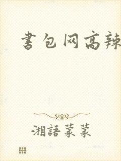 书包网高辣文h