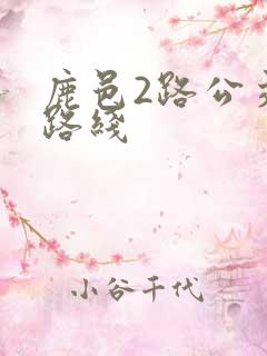 鹿邑2路公交车路线