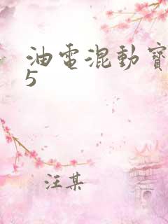油电混动宝马x5