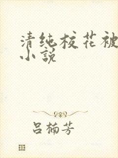 清纯校花被蹂躏小说