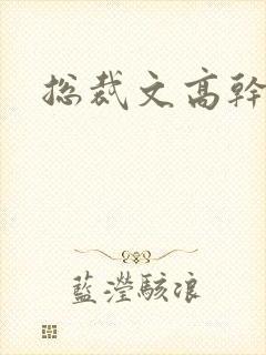 总裁文高干文