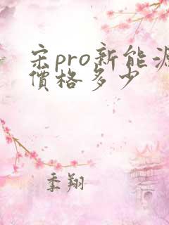 宋pro新能源价格多少
