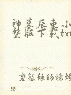 神墓辰东小说完整版下载txt 神墓辰东小说完整版下载txt