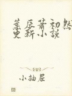 叶辰萧初然最快更新小说