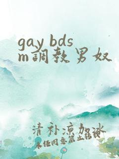 gay bdsm调教男奴