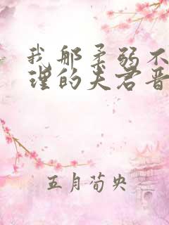 我那柔弱不能自理的夫君晋江