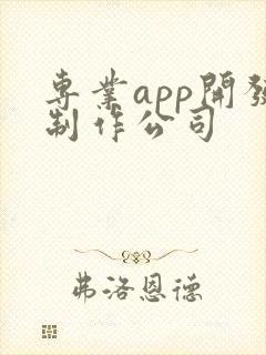 专业app开发制作公司