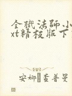 全职法师小说txt精校版下载