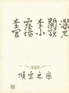 李霖李阑澜巅峰官场小说免费阅读