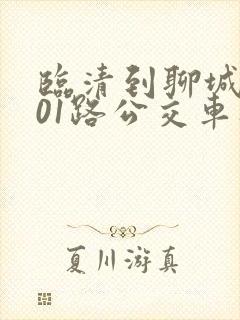 临清到聊城k101路公交车时间表
