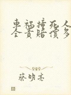 车祸撞死人死者全责赔偿多少钱?