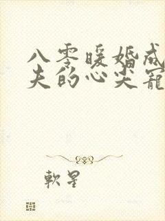 八零暖婚成为前夫的心尖宠小说