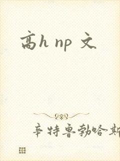 高h np 文