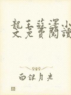 龙王苏泽小说全文免费阅读