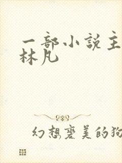 一部小说主角叫林凡