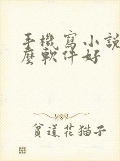 手机写小说用什么软件好
