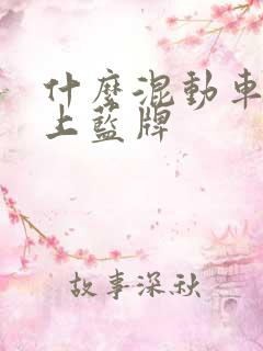 什么混动车可以上蓝牌