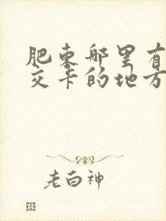 肥东哪里有充公交卡的地方