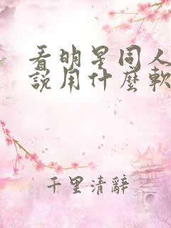 看明星同人文小说用什么软件好