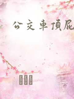 公交车顶屁