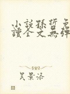 小说孙哲免费阅读全文无弹窗 小说孙哲免费阅读全文无弹窗
