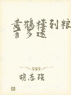 黄鹤楼到粮道街有多远