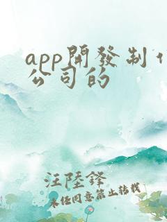app开发制作公司的