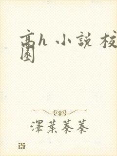高h 小说 校园