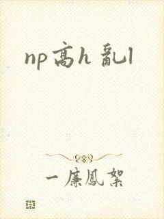 np高h 乱l