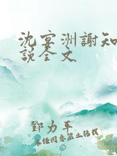 沈宴洲谢知意小说全文