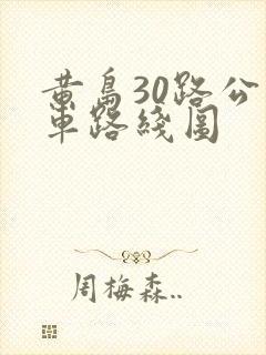 黄岛30路公交车路线图