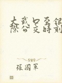 大武口至银川城际公交时刻表