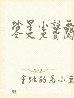 踏星小说无弹窗全文免费阅读