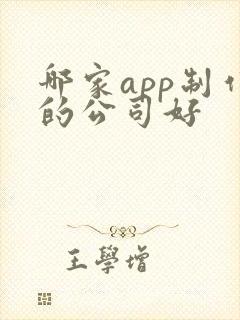 哪家app制作的公司好