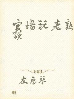 官场玩老熟女小说