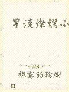 星汉灿烂小说 星汉灿烂小说