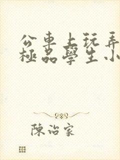 公车上玩弄两个极品学生小说