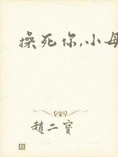 操死你,小母狗