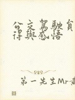 公交驾驶员的心得与感悟