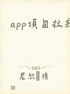 app项目拉新