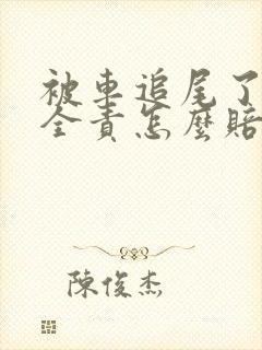 被车追尾了对方全责怎么赔偿
