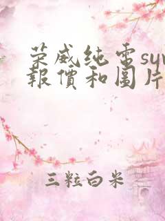 荣威纯电suv报价和图片