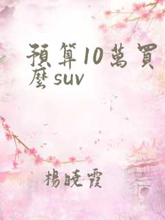 预算10万买什么suv