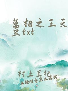 万相之王天蚕土豆txt