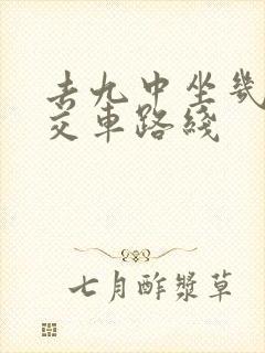 去九中坐几路公交车路线